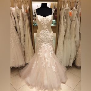 Blush Pronovias Bice Wedding Dress